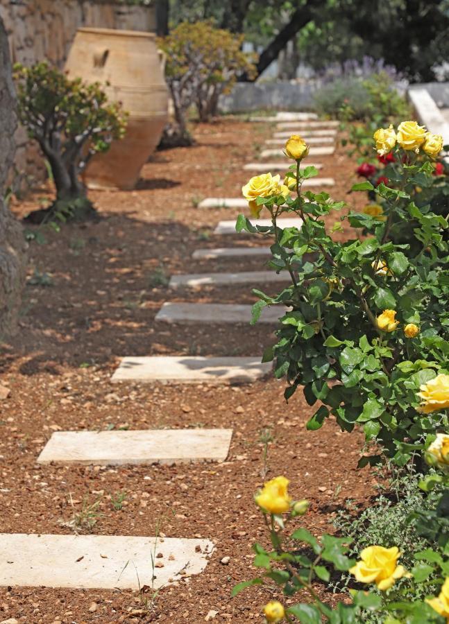 Amvikas Suites-Sitia المظهر الخارجي الصورة